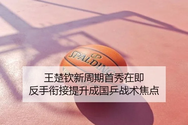 王楚钦新周期首秀在即 反手衔接提升成国乒战术焦点
